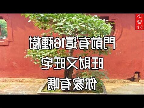 仙桃樹風水|桃樹風水招財有技巧